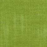 Green Painter's Canvas Fab..